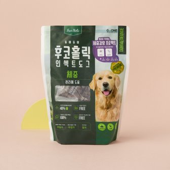 MOLLY'S 후코홀릭 인섹트 도그 동애등에 체중 1kg