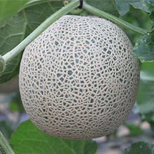 상품이미지2