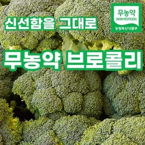 [최상품] 하프팜 친환경 무농약 브로콜리 브로컬리 1개,2개,3개,4개,5개