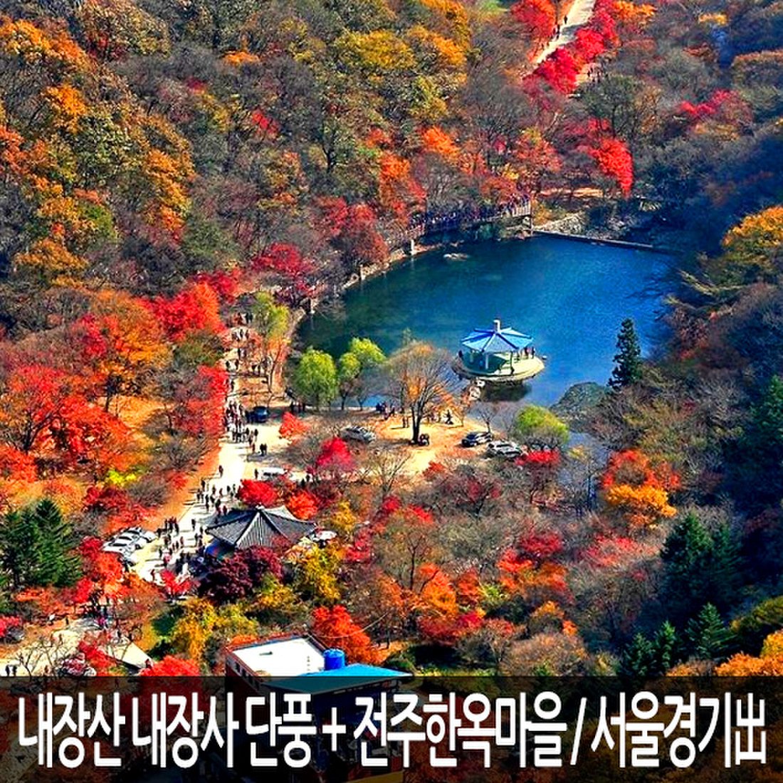 전북] 정읍 내장산국립공원 내장사 단풍여행+전주 한옥마을 당일여행 / 국내여행/가을단풍/서울경기出, 믿고 사는 즐거움 Ssg.Com