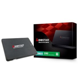 바이오스타 S160 SSD (256GB) 이엠텍