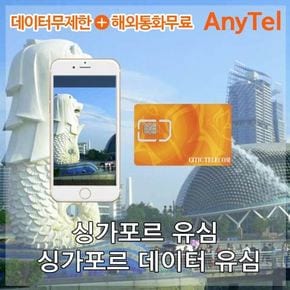 싱가포르유심 말레이시아 해외여행 6일 매일1GB 유심칩구매 공항수령