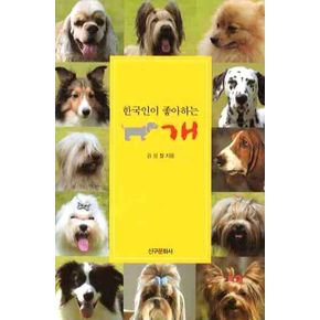 개