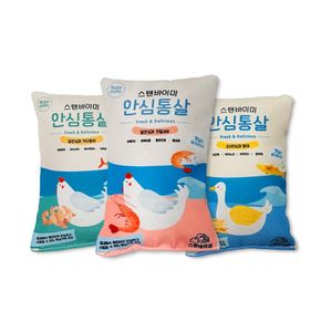 (3개)안심통살 캣닢 쿠션 (소)