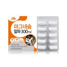 [사은품 증정]  VB 마그네슘 알파 300mg 2박스 6개월분