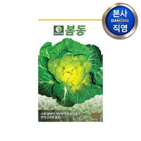 봄동 배추 씨앗 20g . 겉절이 김장 채소 가을 텃밭 파종 월동 씨 종자