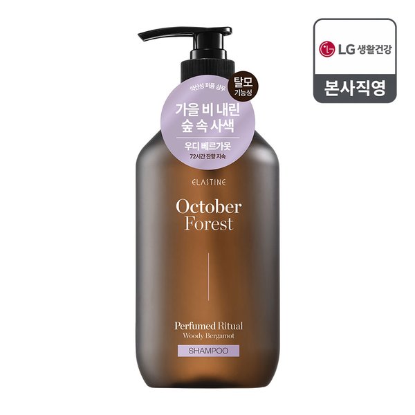 확대된 대표 대표이미지