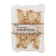 농협세척인삼(750g내외/특)