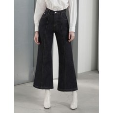 W1030 PIN TUCK WIDE PANTS_NONFADED