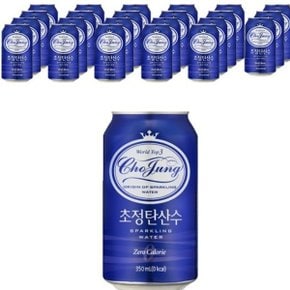 초정탄산수 플레인, 350ml, 24개