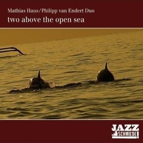 [CD] [Cd][수입]Mathias Haus & Philipp Van Endert - Two Above The Open Sea/마티아스 하우스 & 필립 판 엔데르트 - 투 어버브 디 오픈 씨