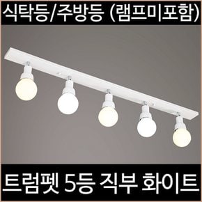 트럼펫 5등 직부 주방등 화이트