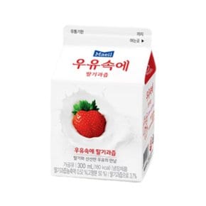 매일유업 우유속에 딸기과즙 300ml 28팩