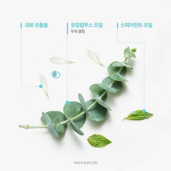 NEW 아스테라 프레쉬 진정&쿨링 샴푸 500ml(+랜덤 50mlX3 증정)