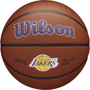 미국 윌슨 농구공 WILSON NBA Alliance Series 바스켓balls Team 로고 29.5 앤 미니 Sizes 18266