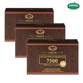 네이쳐스탑 호주 유칼립투스 프로폴리스 7500mg 180캡슐x3박스