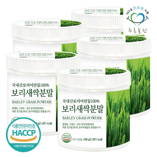 푸른들판 국내산 새싹보리 100% 보리새싹 분말 가루 haccp 인증 280gx5통