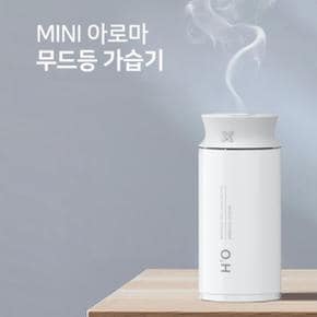 LED 무드등 가습기 지속분무 타이머 USB전원 차량용 초음파가습기