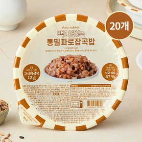 백미없는 통밀파로 잡곡밥 150g 20개
