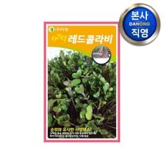 새싹 레드 콜라비 씨앗 1kg . 친환경 무농약 무소독 채소 수경 재배 씨 종자