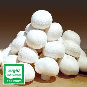친환경 무농약 부여 양송이 버섯 특품 1kg 선물용 친환경채소