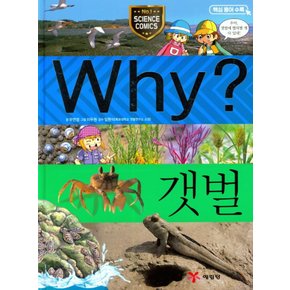 송설북 예림당 Why? 갯벌 (과학학습만화 28) (개정판)