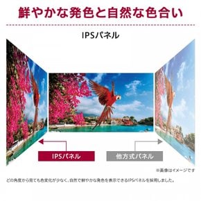 [Amazon.co.jp LG 24ML600S-W 23.8  HDIPS  1ms(MBR)  FreeSync D- sub  한정] 프레임리스