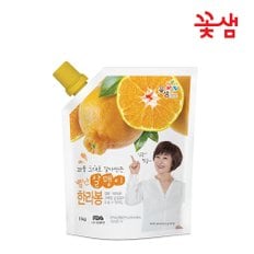 별난알맹이 한라봉1kg