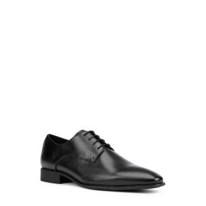 이스퀘어 4114293 Geox Highlife 11 Plain Toe Derby