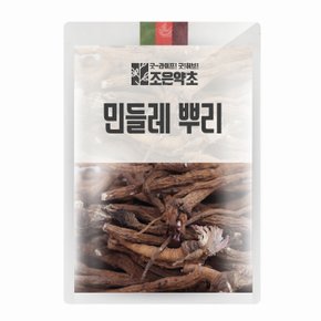 민들레 뿌리 200g