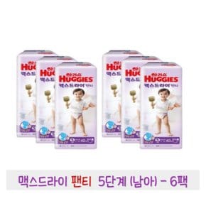 하기스 맥스드라이 팬티 5단계 (남아) 40매 6팩