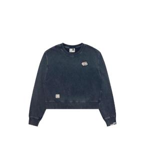 26 FW 에프바이 베이프 그래픽 프린트 스웨트셔츠 ASWE346XXR TP459907071