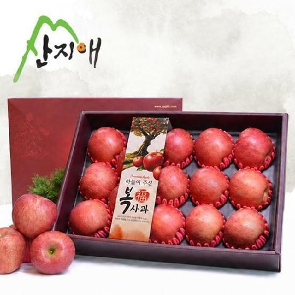 확대된 대표 이미지 G