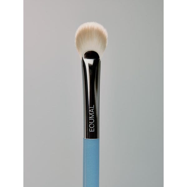 이지 브러쉬 에이에이 샤인 페이스 11