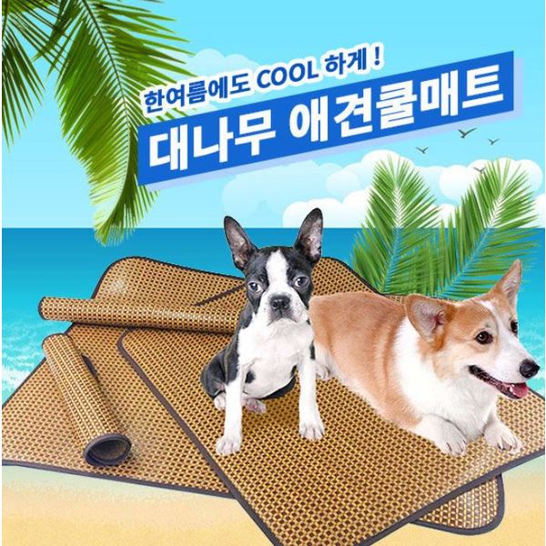 확대된 대표 상품이미지1