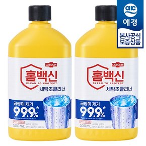 [애경]랩신 홈백신 세탁조클리너 500ml x2개