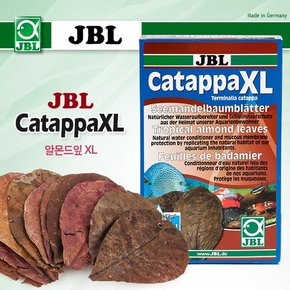 다팜아쿠아 JBL 알몬드잎 Catappa XL 10장