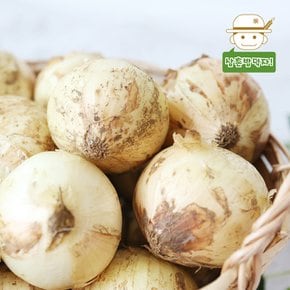 [삼촌농장] 달큰한 무안 햇 양파(소) 5kg