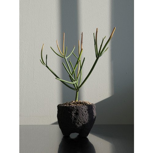 image9