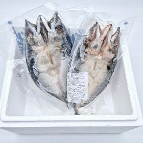 국내산 반건조 손질 고등어 중 1미 x 1팩