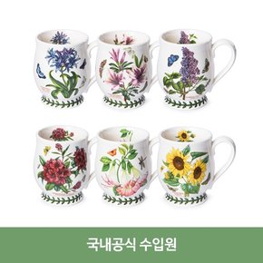 보타닉가든 브리스톨머그 0.35L 6p