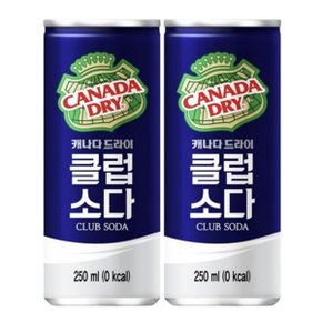 캐나다드라이 250ml 클럽소다(30캔)