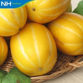 [성주참외원예농협/ 산지직송] 정품 성주 참외 10kg(25-45과)