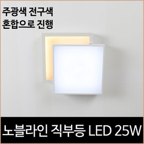 노블라인 LED 25w 직부등 주광색 전구색 현관등