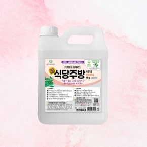 보현채우미 기름때 식당주방 클리너 4kg 메소드 (WD3A920)