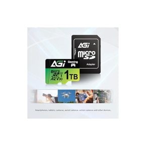 AGI 1TB TF138 마이크로sd카드, Nintendo Switch 동작 확인