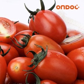 새콤달콤 대추 방울토마토 1kg 1팩