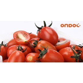 새콤달콤 대추 방울토마토 1kg 1팩