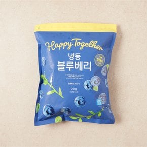 칠레산 냉동 블루베리 2kg (팩)