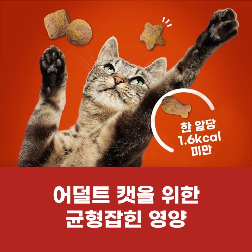 추가이미지2